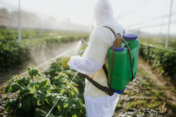 Reliable Edna, TX Pest Control Solutions